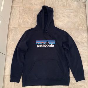 Patagonia hoodie